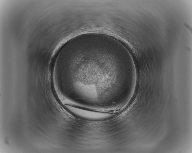 X0000094801506200711301528