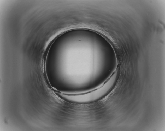X0000094801510200711301528