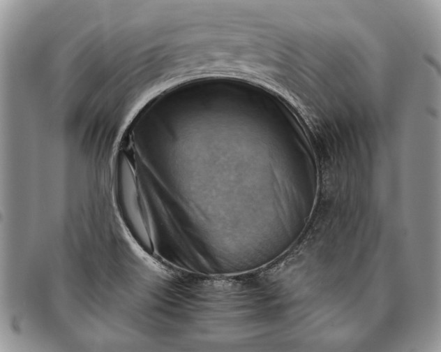 X0000094801515200711301528