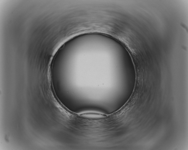 X0000094801516200711301528