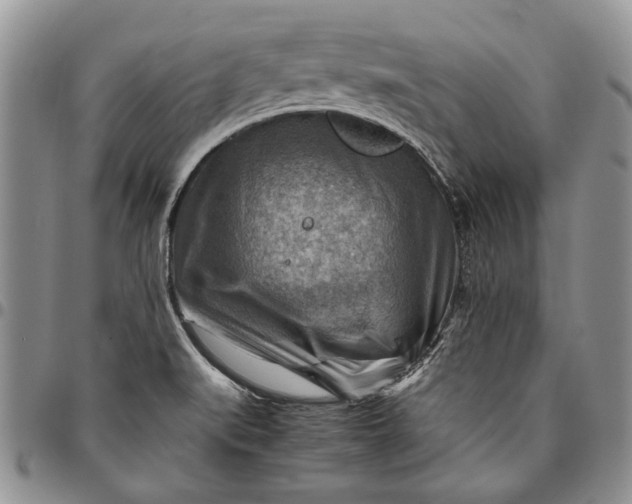 X0000094801519200711301528