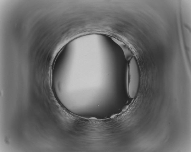 X0000094801520200711301528
