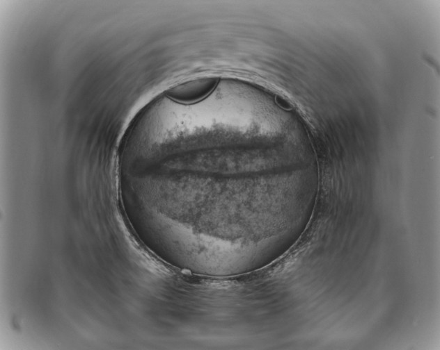 X0000094801522200711301528