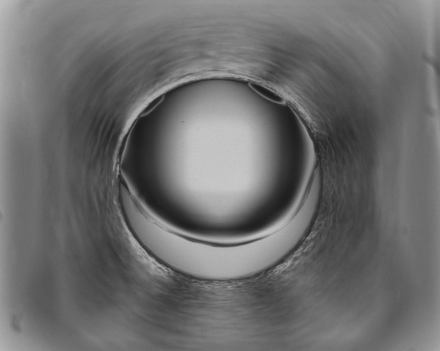 X0000094801524200711301528
