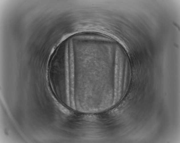 X0000094801525200711301528