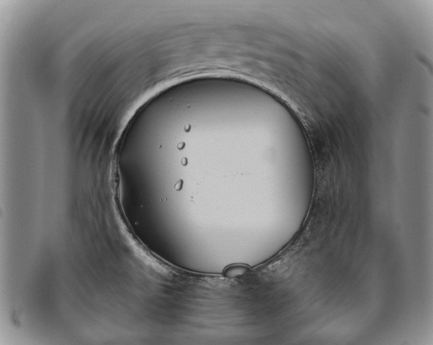 X0000094801526200711301528
