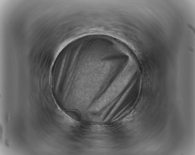 X0000094801527200711301528