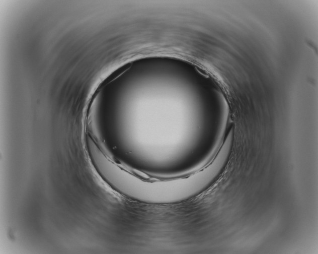X0000094801528200711301528