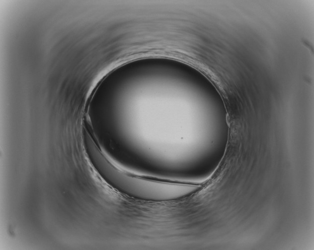 X0000094801530200711301528