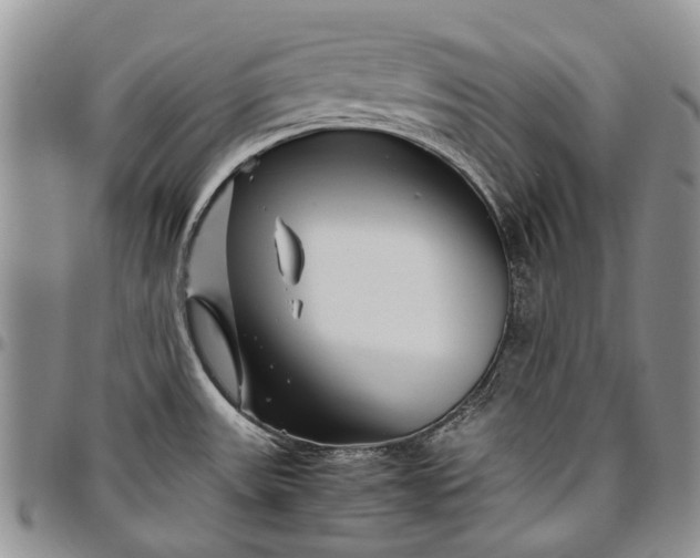 X0000094801531200711301528