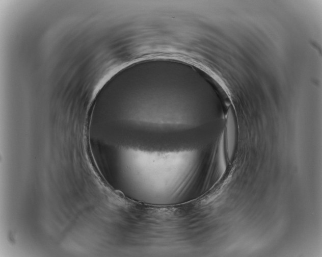 X0000094801533200711301528
