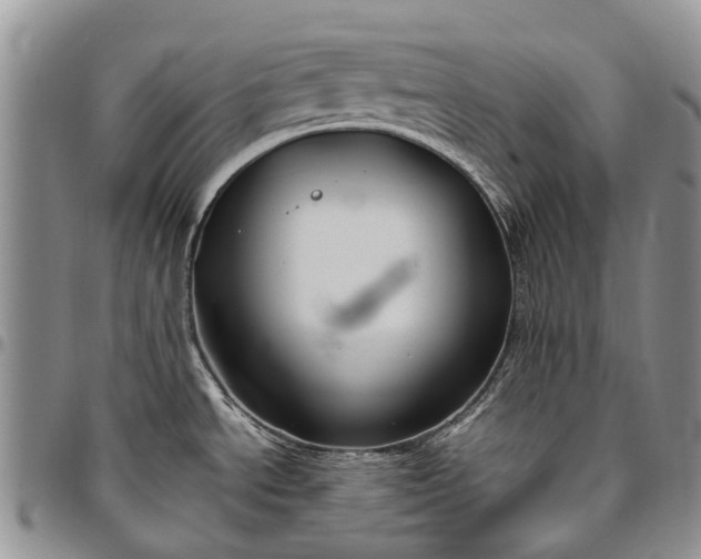 X0000094801534200711301528