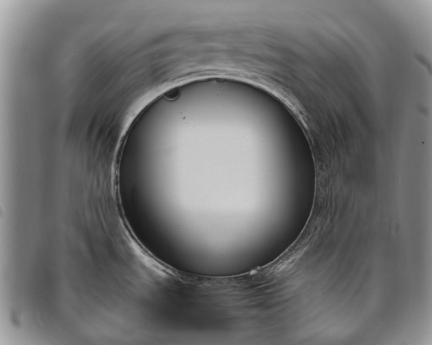 X0000094801535200711301528