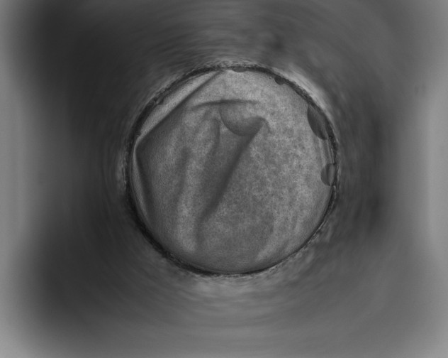 X0000094800009200712071214