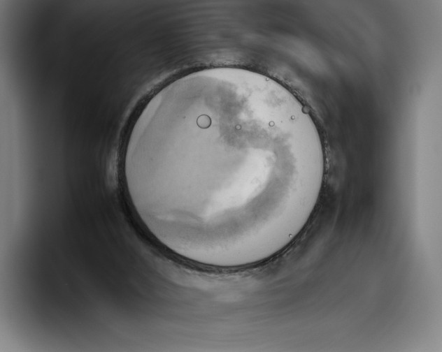 X0000094800012200712071214