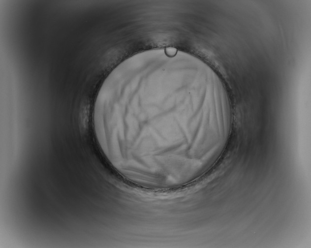 X0000094800018200712071214