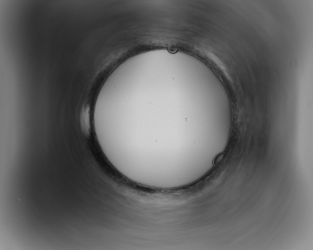 X0000094800020200712071214