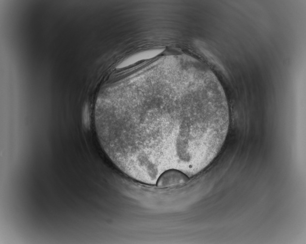 X0000094800026200712071214