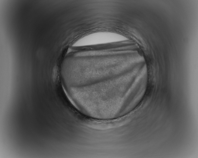 X0000094800029200712071214