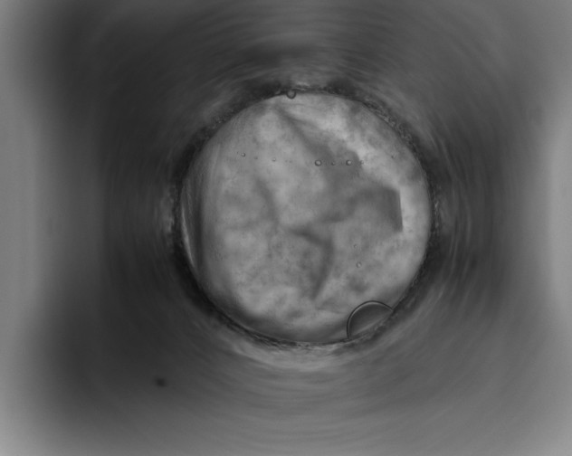 X0000094800032200712071214