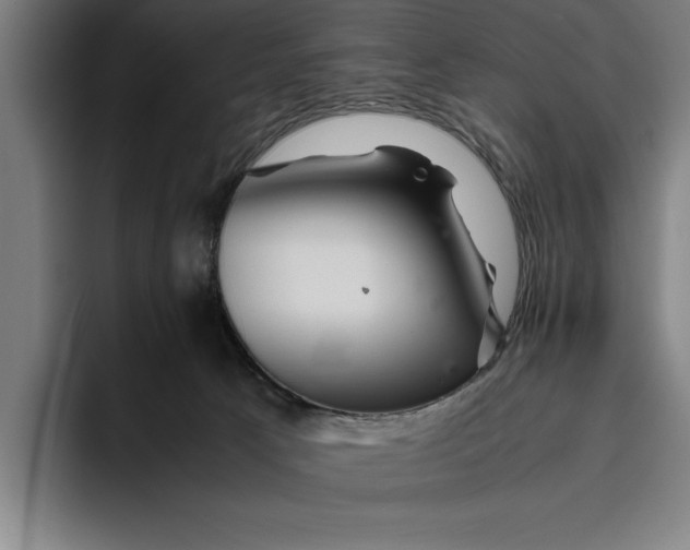 X0000094800033200712071214