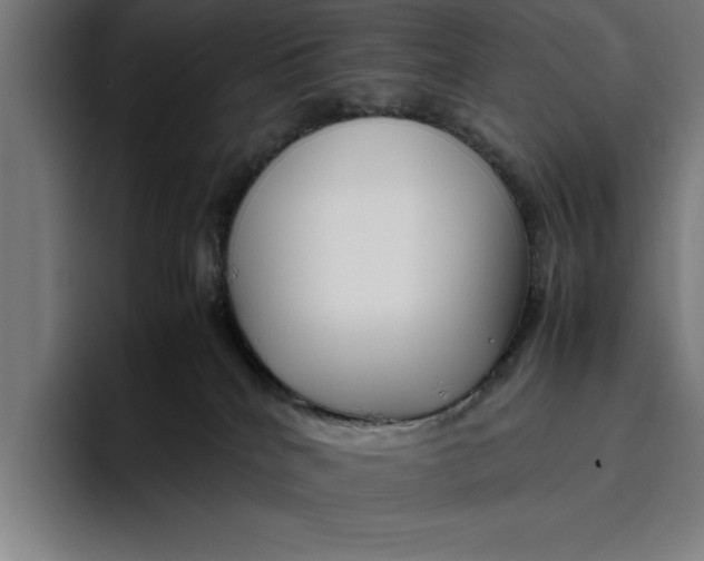 X0000094800040200712071214