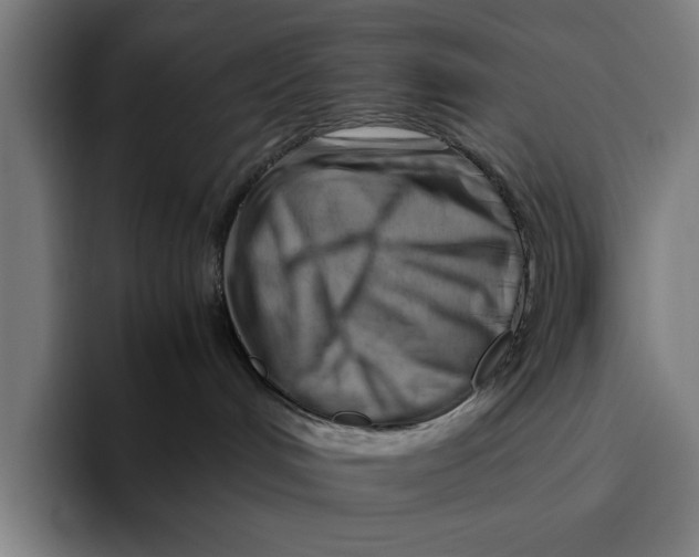 X0000094800048200712071214