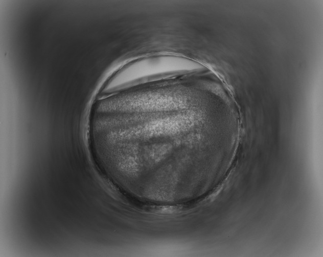 X0000094800056200712071213