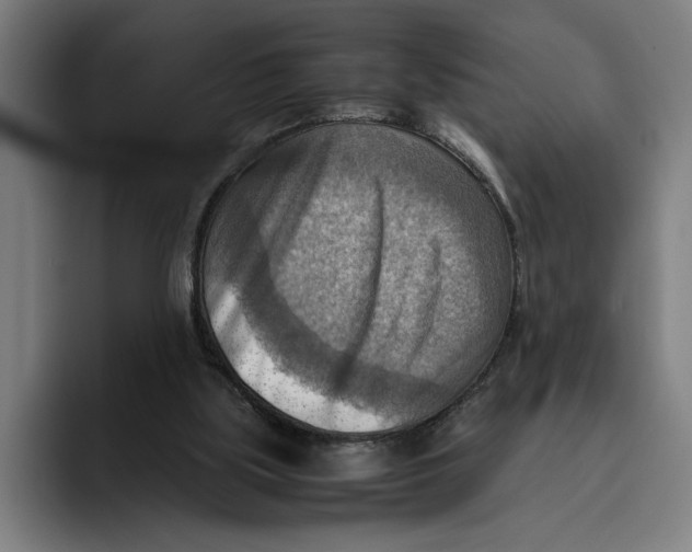 X0000094800059200712071213