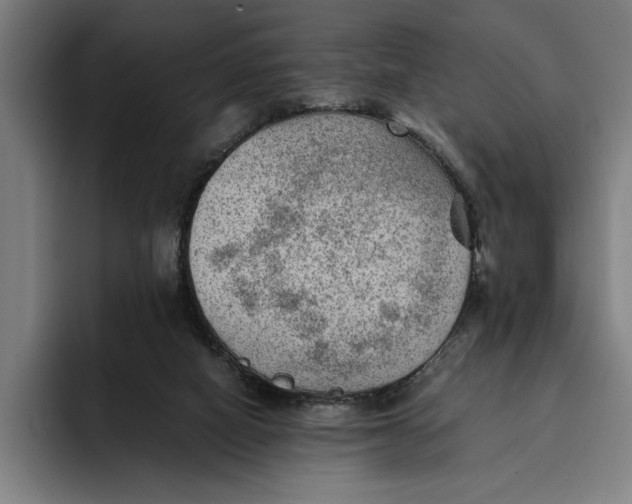 X0000094800066200712071214