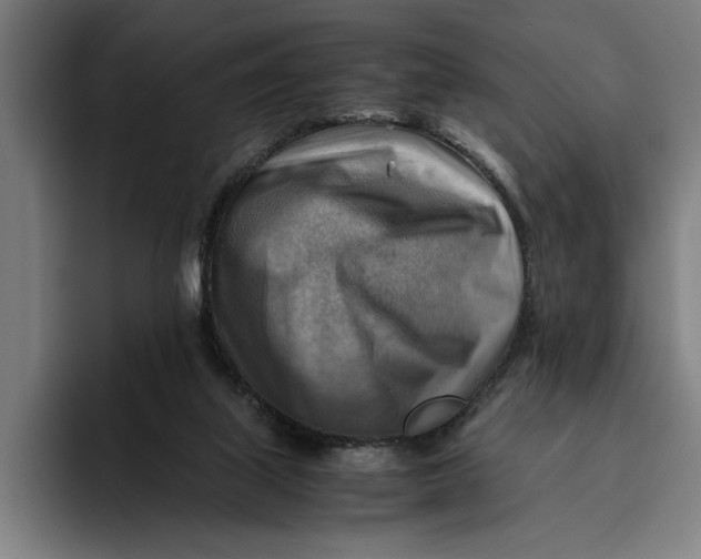 X0000094800067200712071214