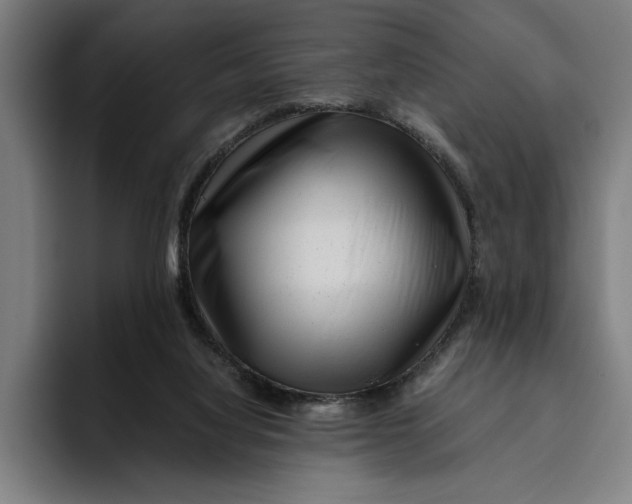 X0000094800068200712071214