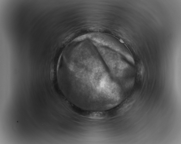 X0000094800080200712071214