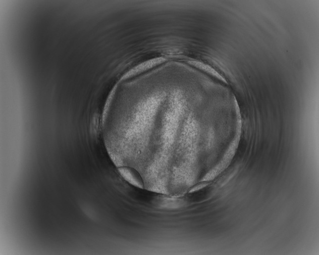 X0000094800093200712071214