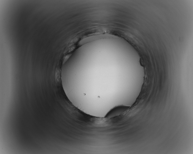 X0000094800096200712071214