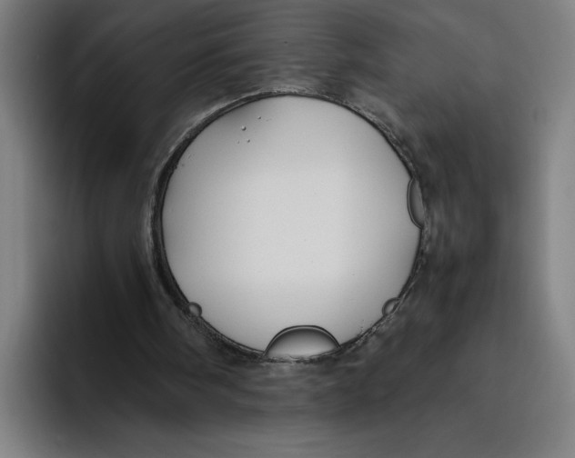 X0000094800098200712071213