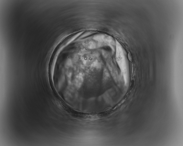 X0000094800099200712071213