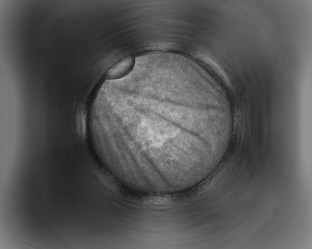 X0000094800110200712071213