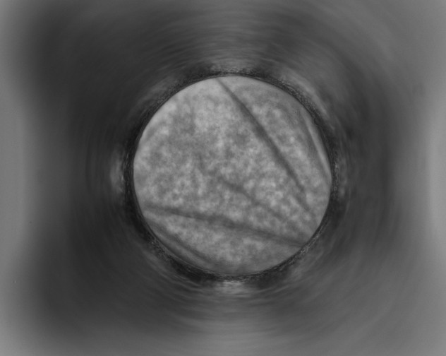 X0000094800114200712071213