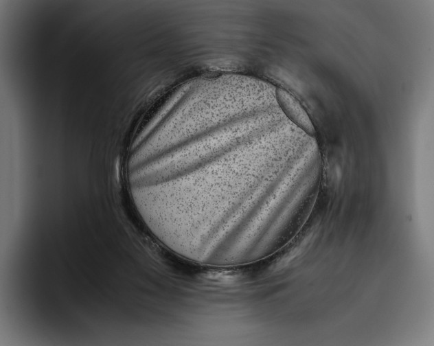 X0000094800117200712071213