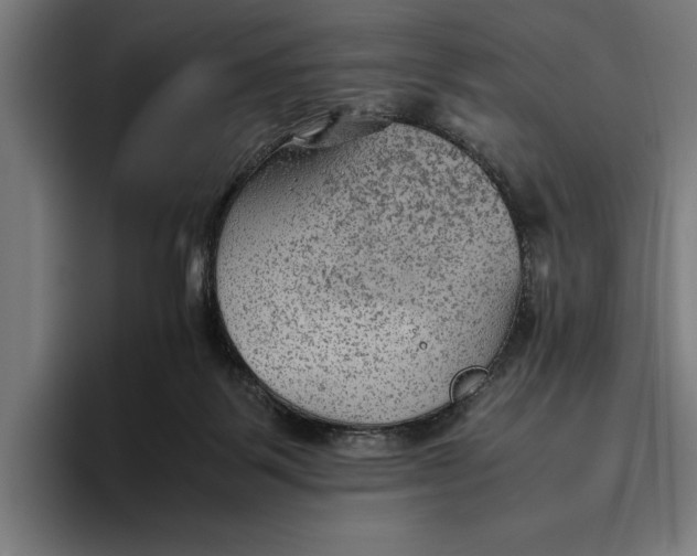 X0000094800123200712071213