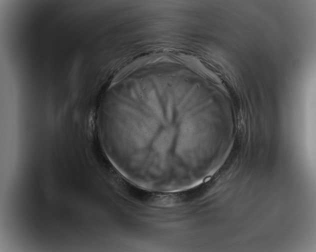 X0000094800127200712071213