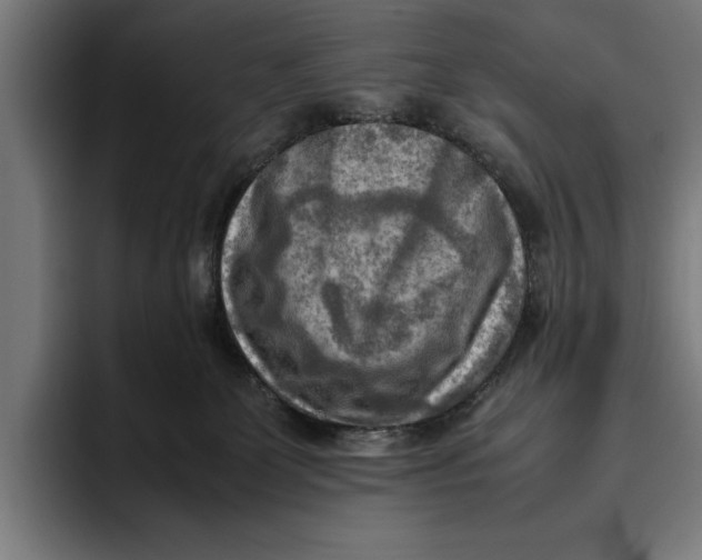 X0000094800131200712071213