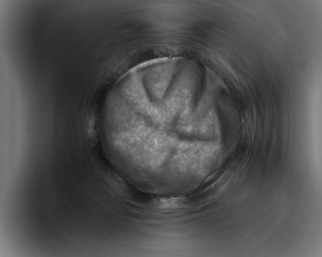 X0000094800134200712071213