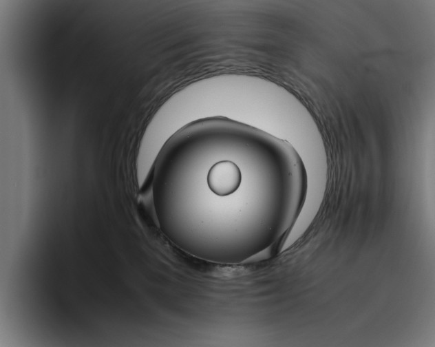 X0000094800137200712071213