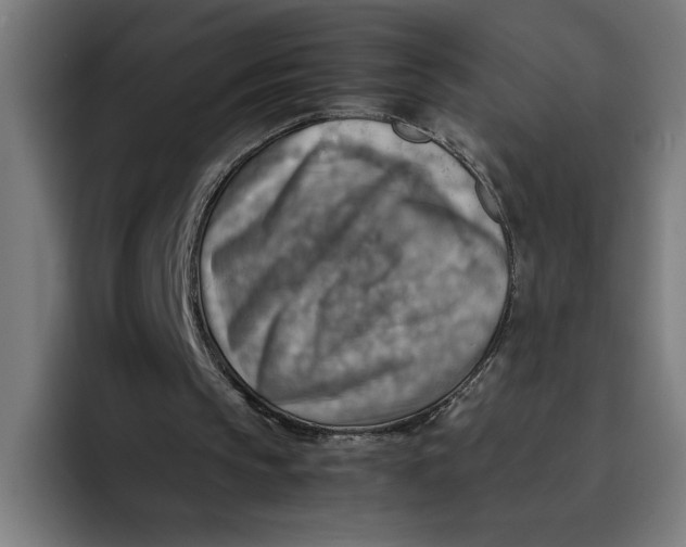 X0000094800145200712071212