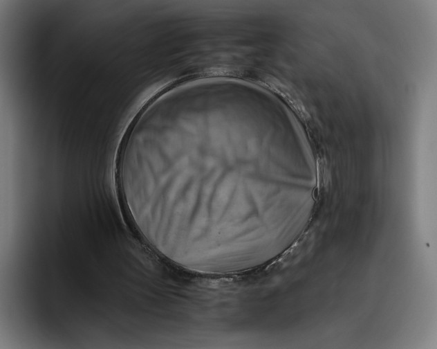 X0000094800147200712071212