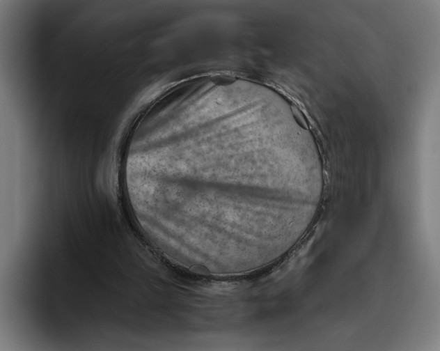 X0000094800149200712071212