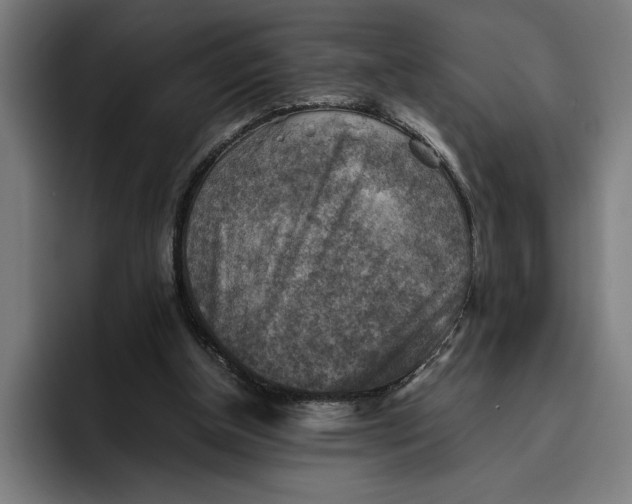 X0000094800154200712071212