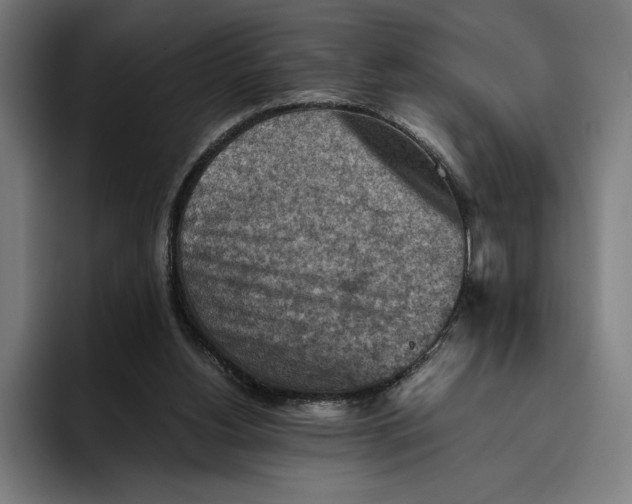 X0000094800156200712071212